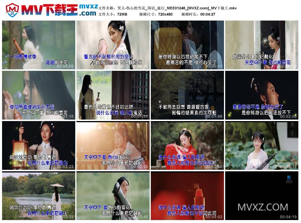 笑天-伤心的雪花_国语_流行_MEE01248